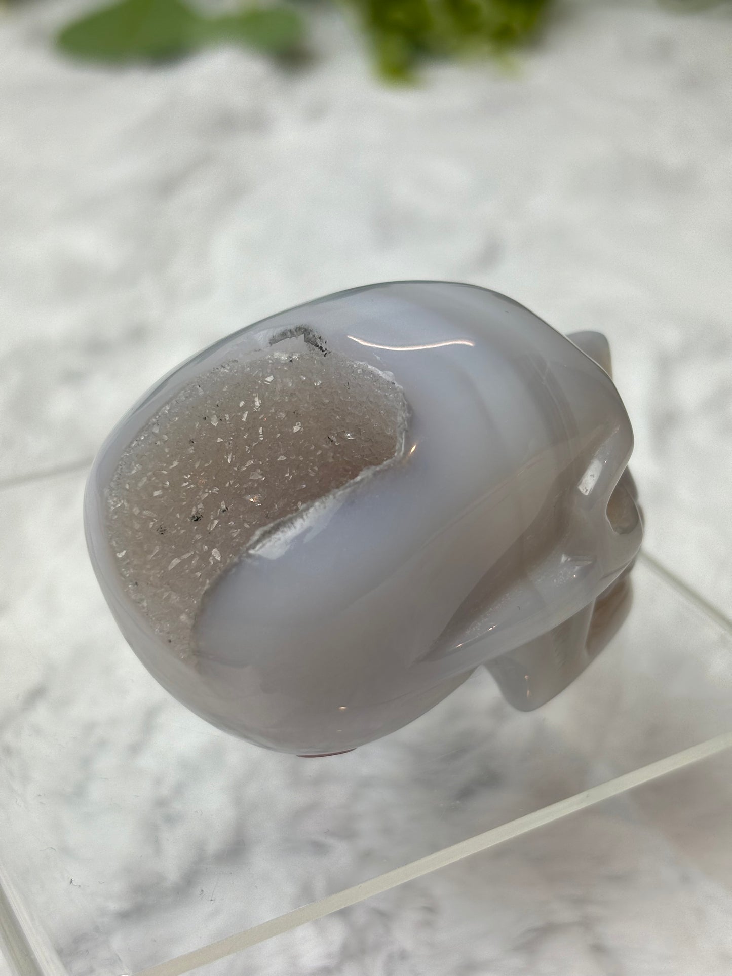 Druzy Agate Skull
