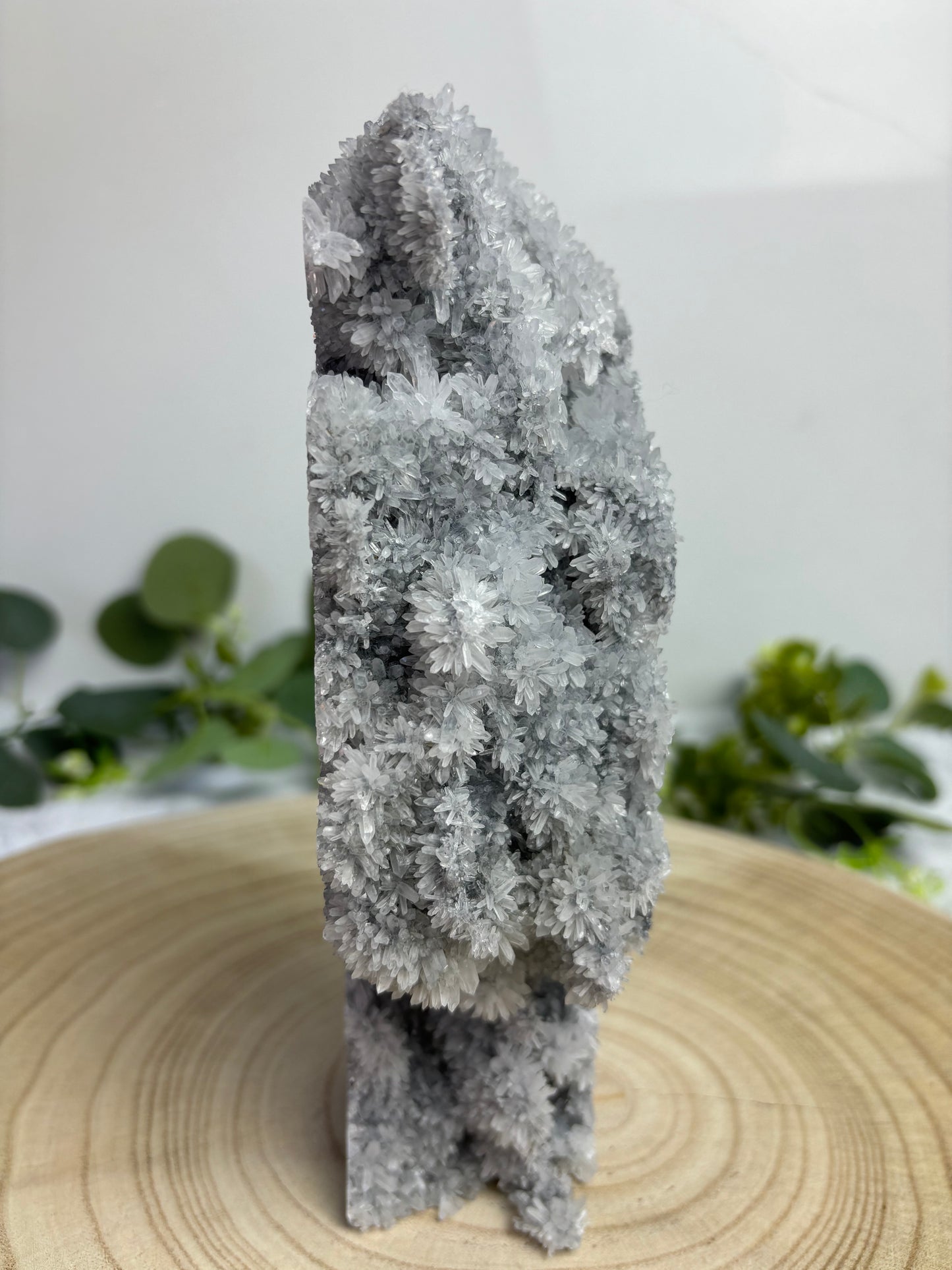 Chrysanthemum Quartz Raw