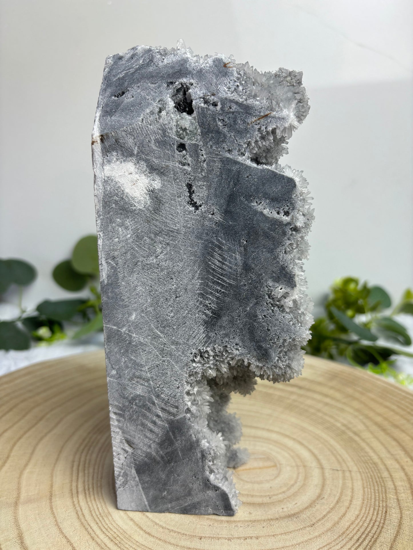 Chrysanthemum Quartz Raw