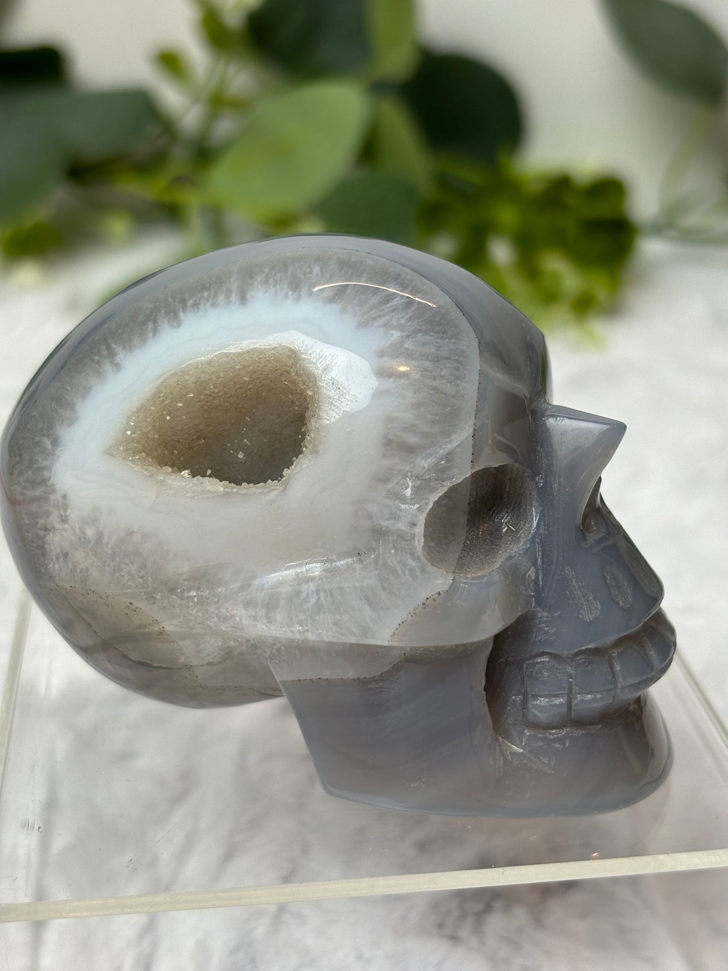 Druzy Agate Skull