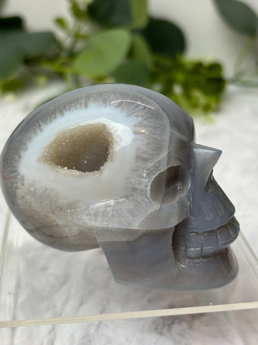 Druzy Agate Skull