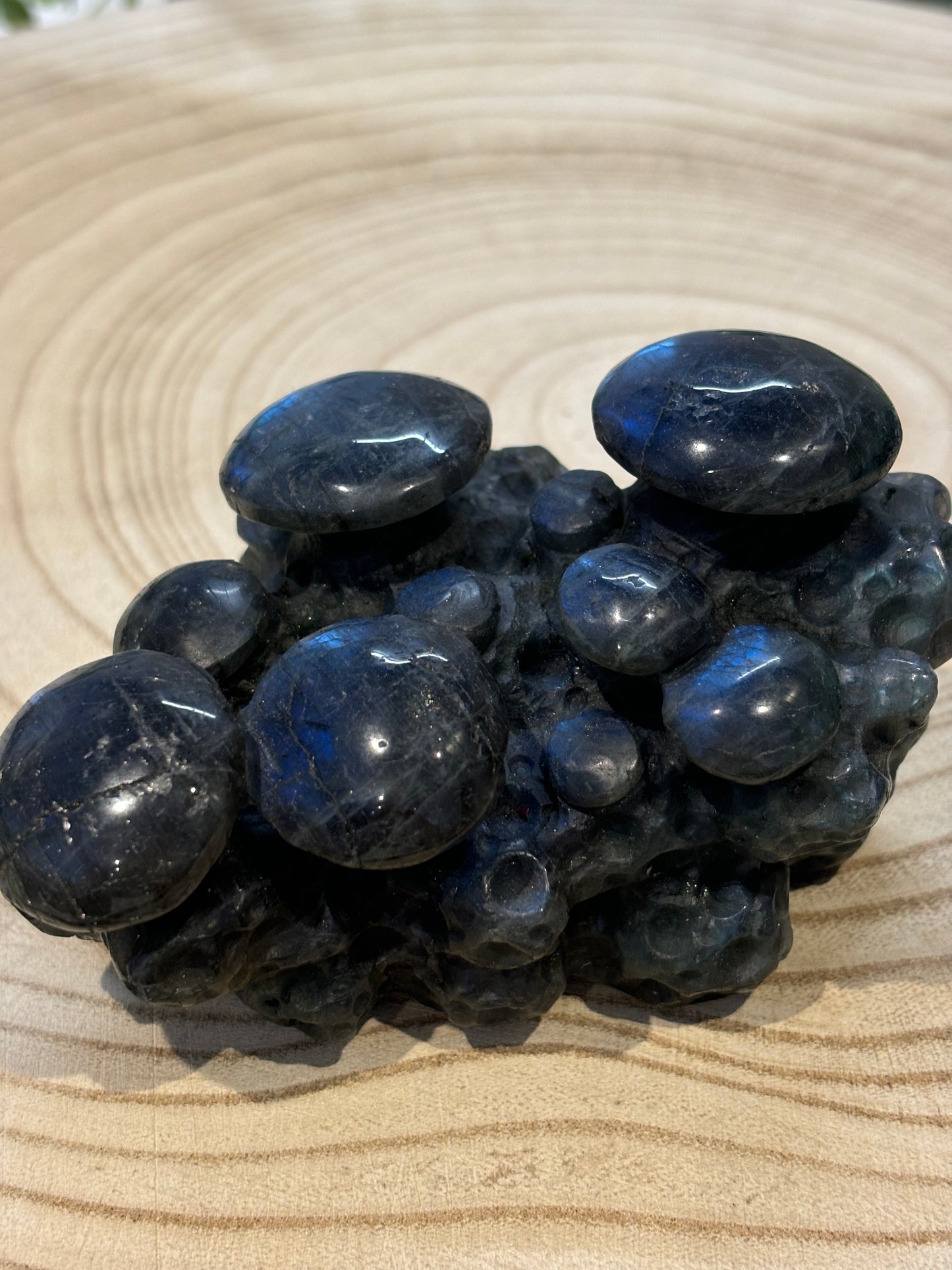 Labradorite Mushrooms