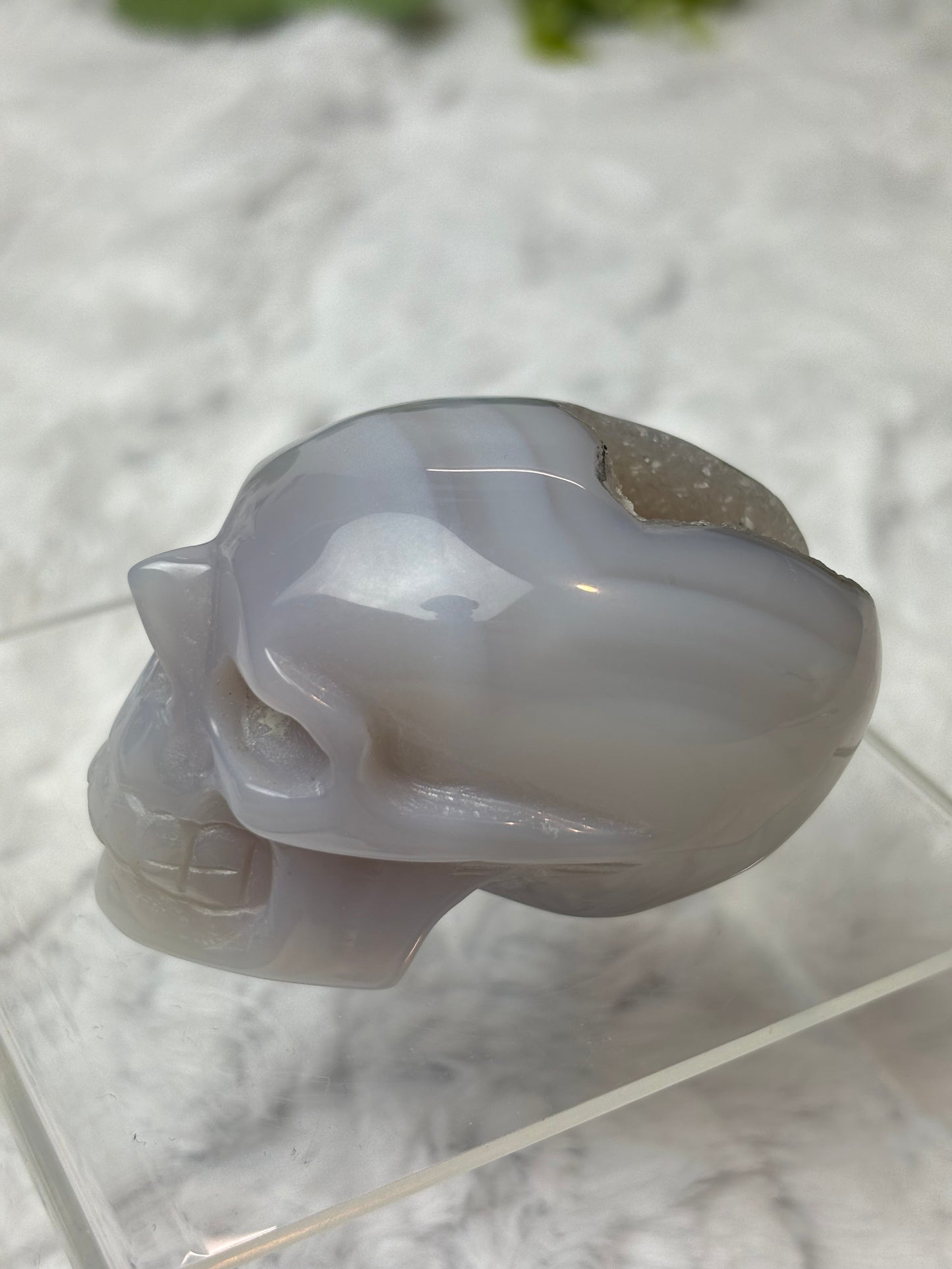 Druzy Agate Skull