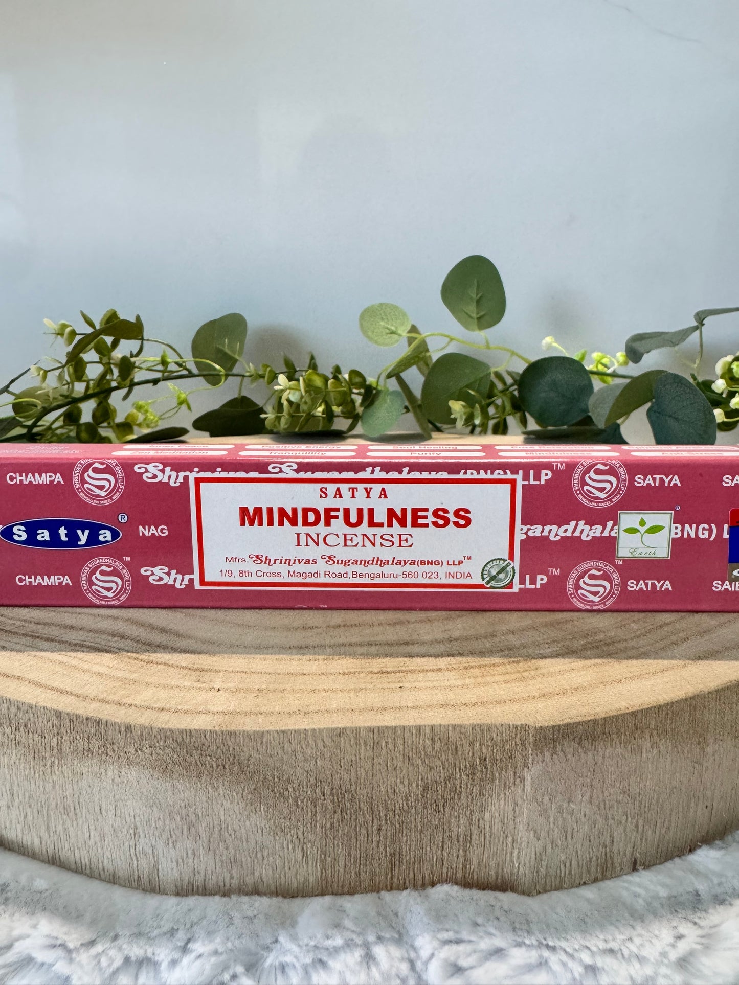 SATYA ~ mindfulness