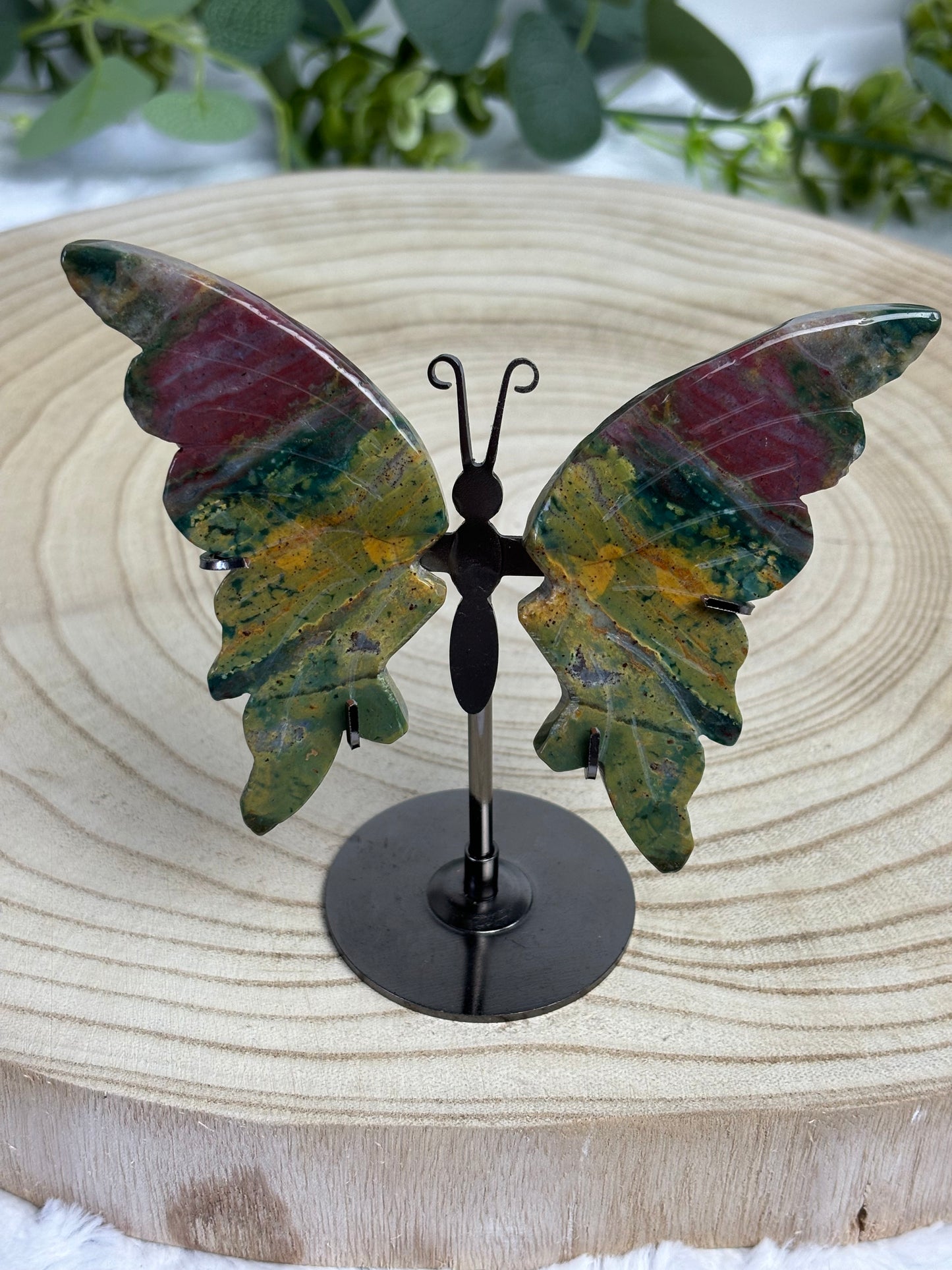 Ocean Jasper Butterfly