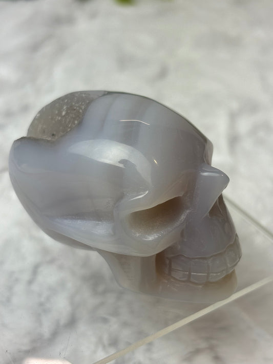 Druzy Agate Skull