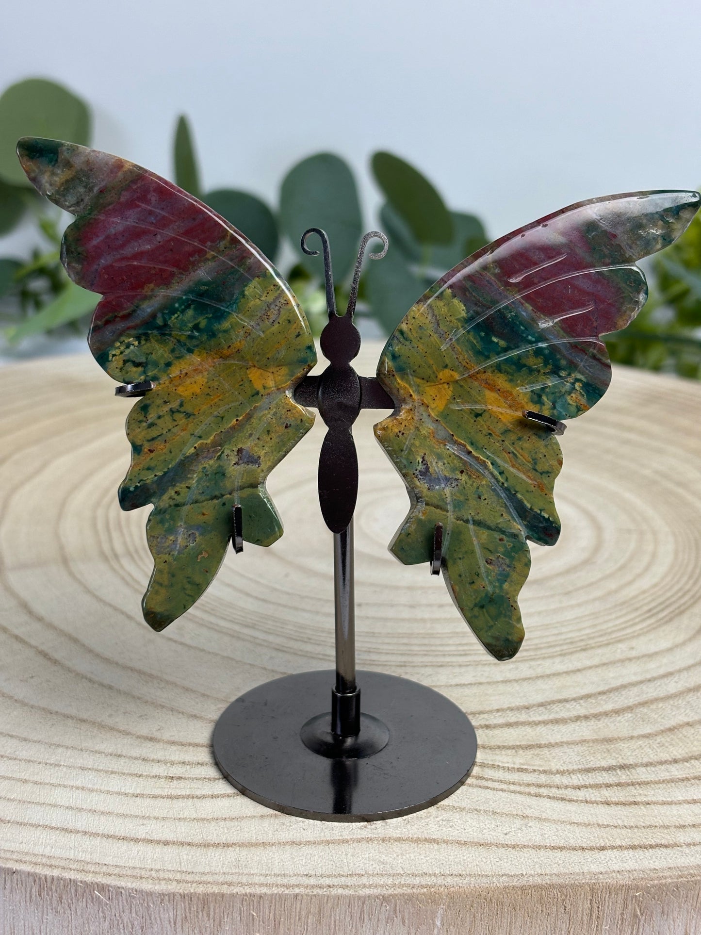 Ocean Jasper Butterfly
