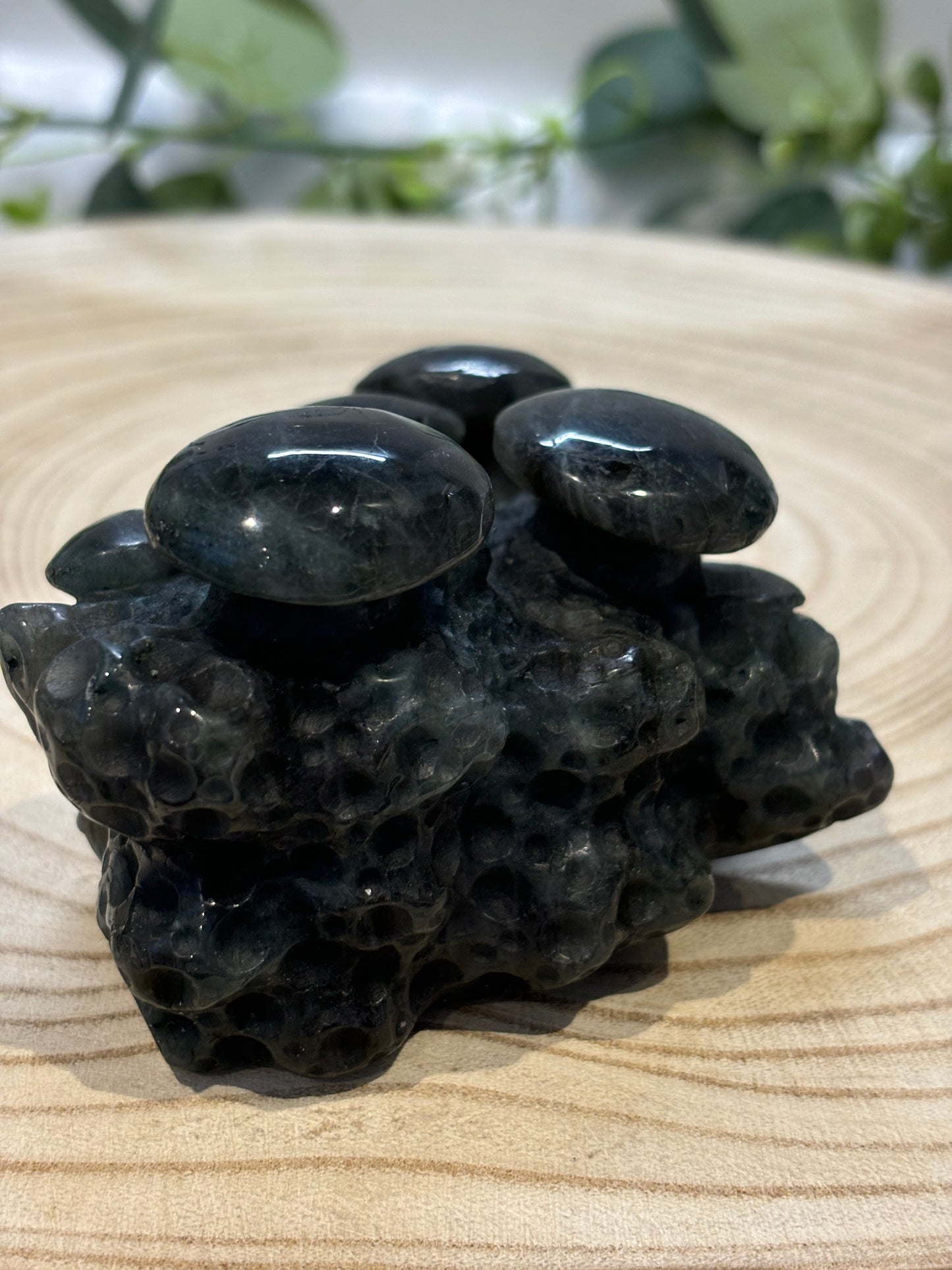 Labradorite Mushrooms