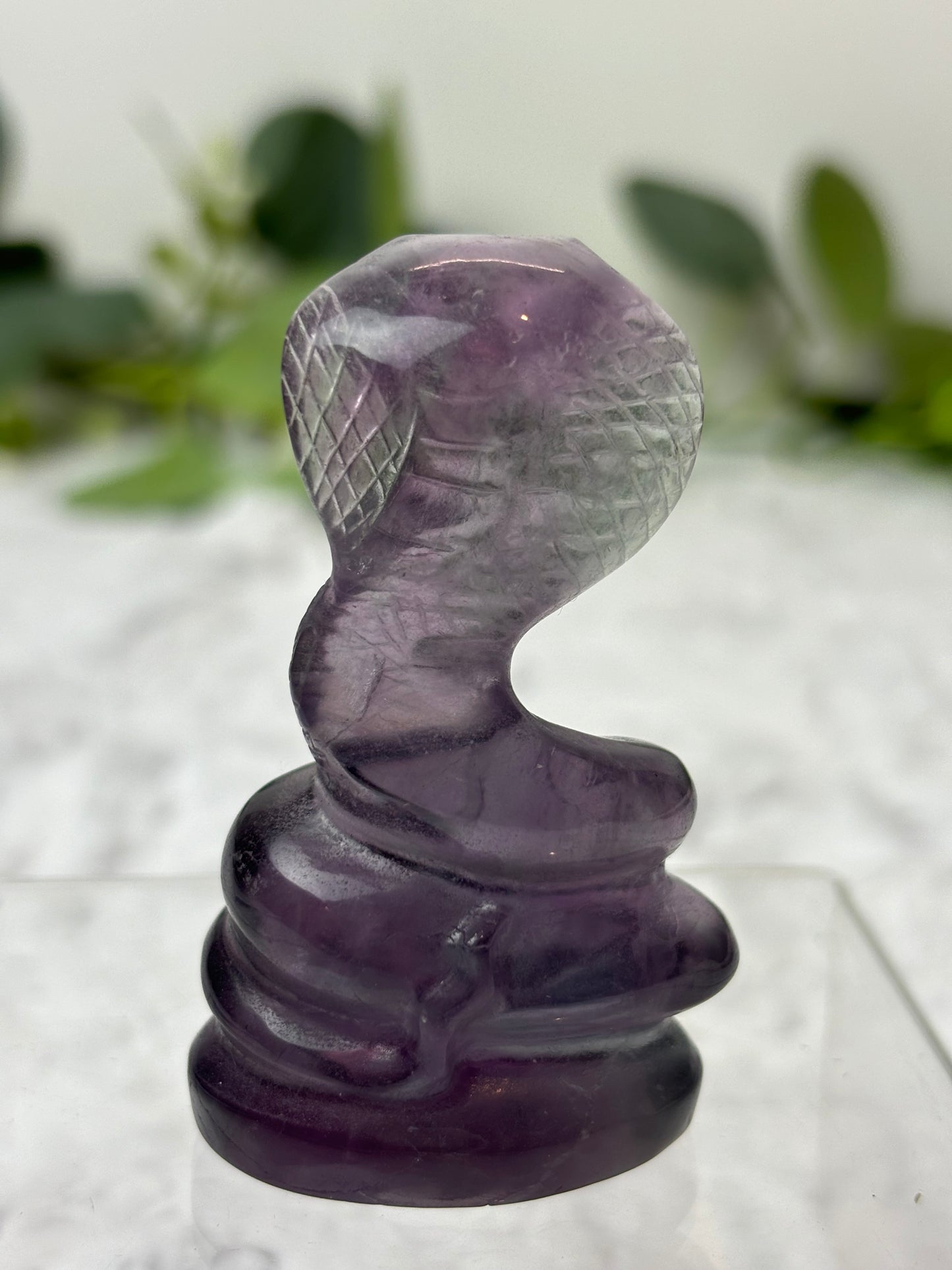 Fluorite Snake