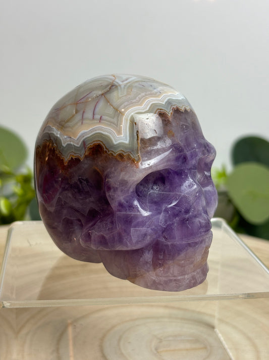 Crazy lace Amethyst skull