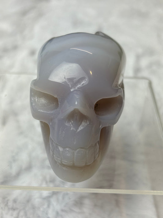 Druzy Agate Skull