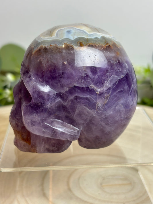 Crazy lace Amethyst skull