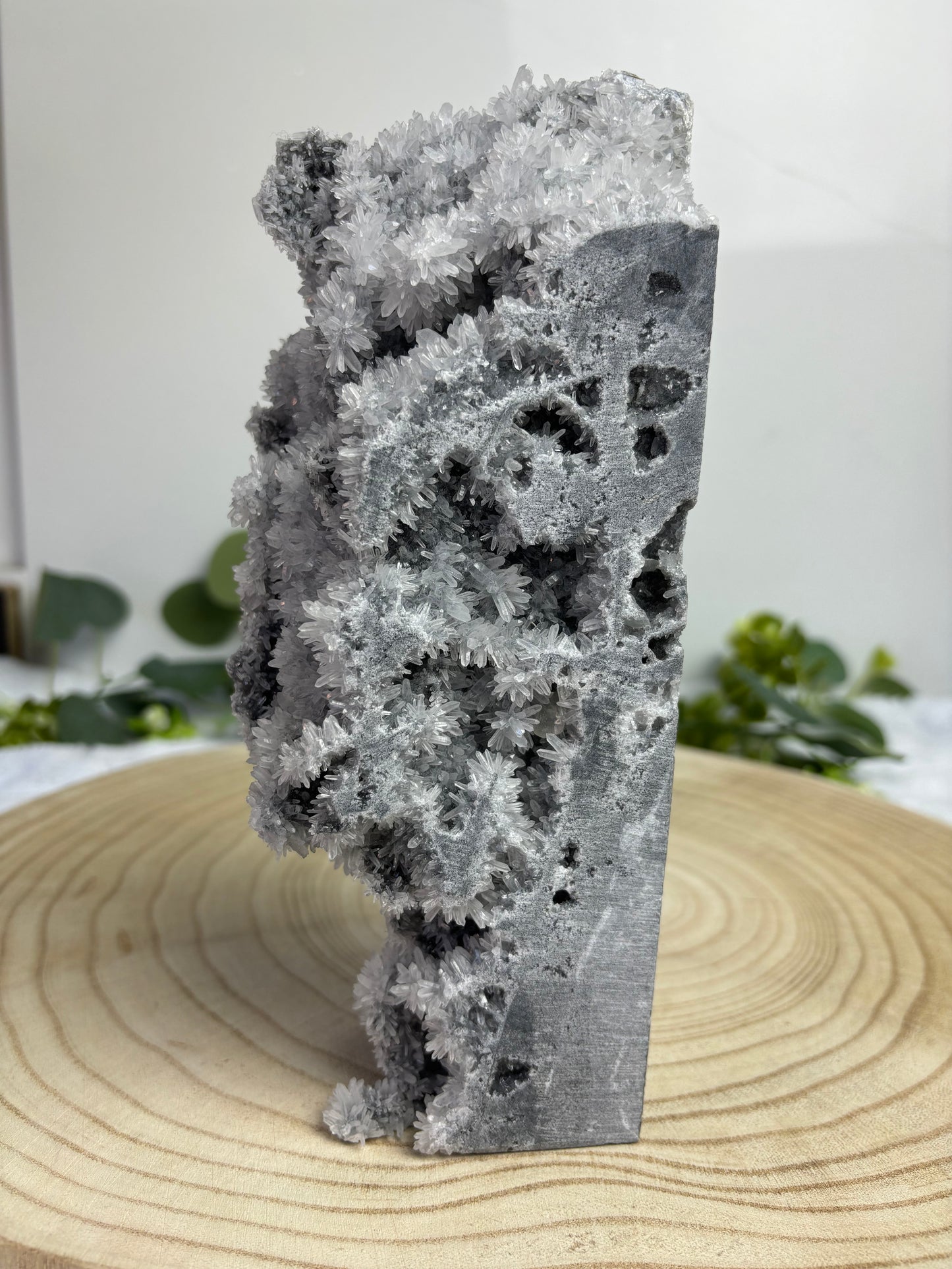 Chrysanthemum Quartz Raw
