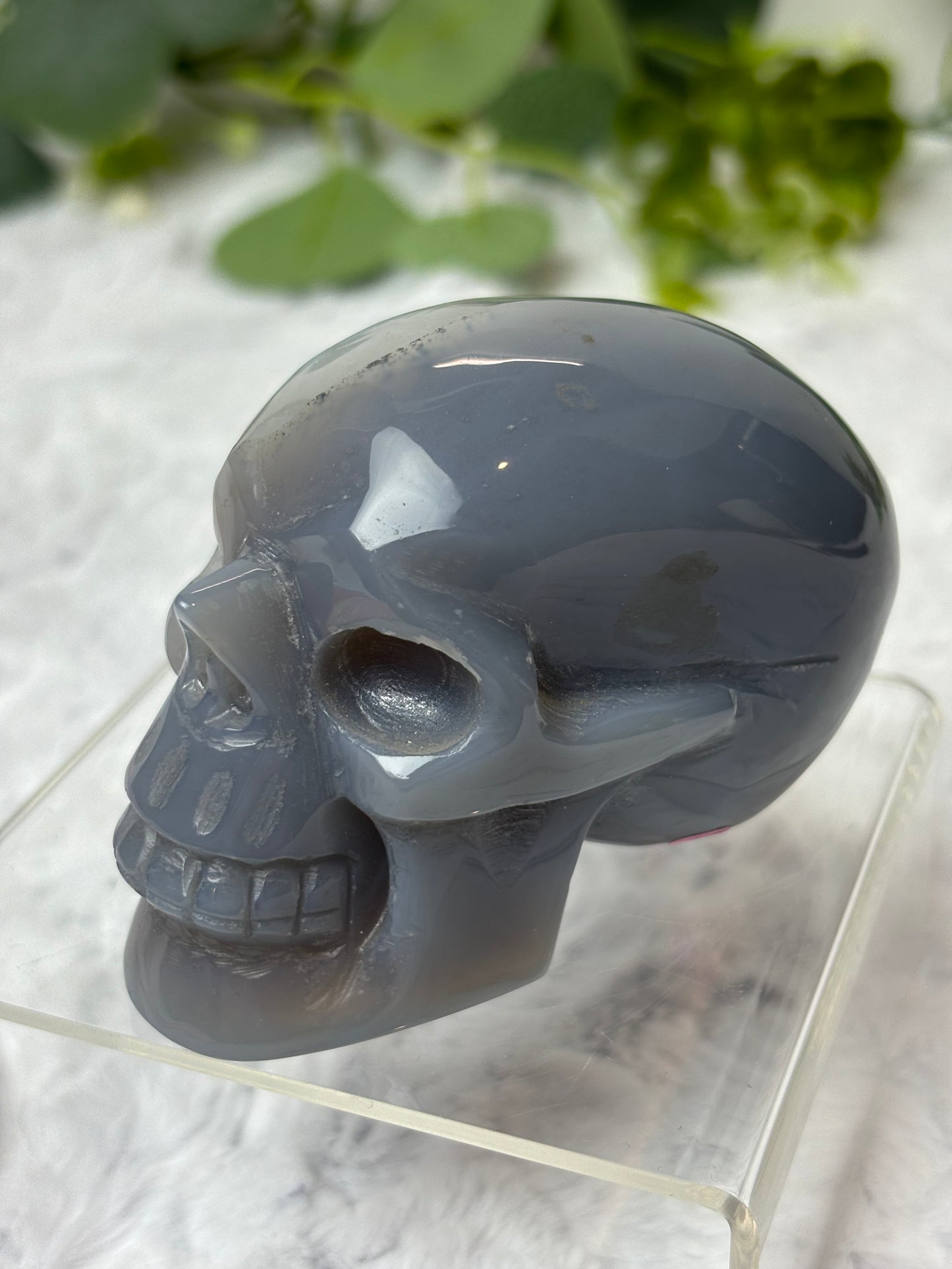 Druzy Agate Skull
