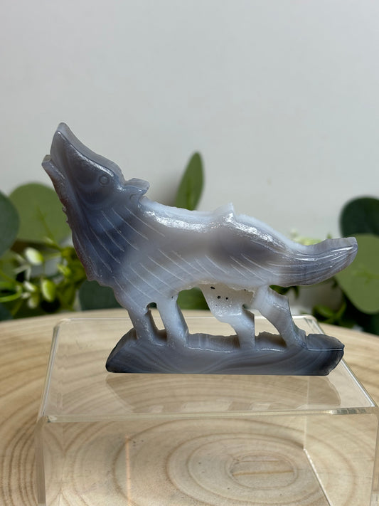Druzy agate wolf