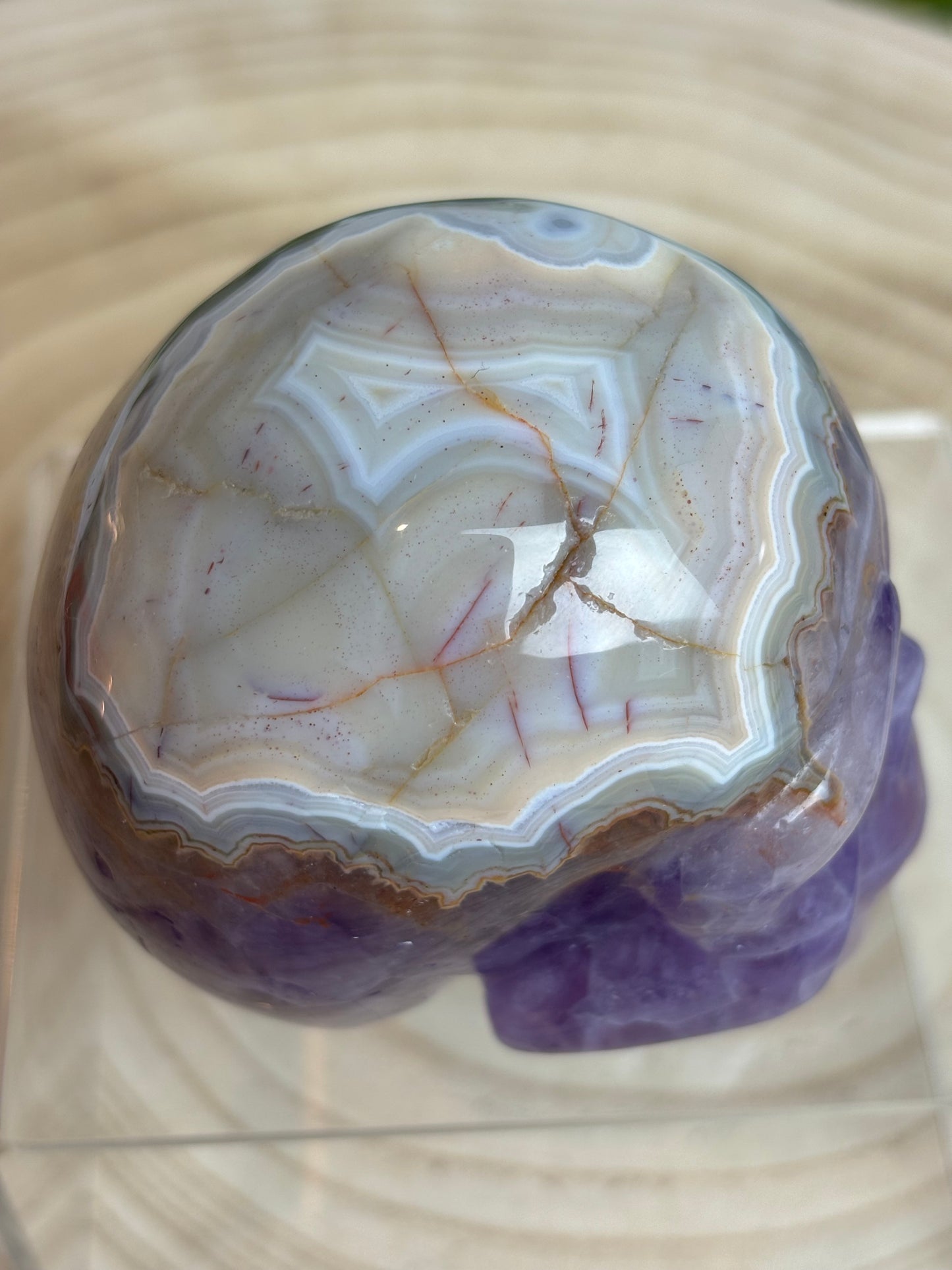 Crazy lace Amethyst skull