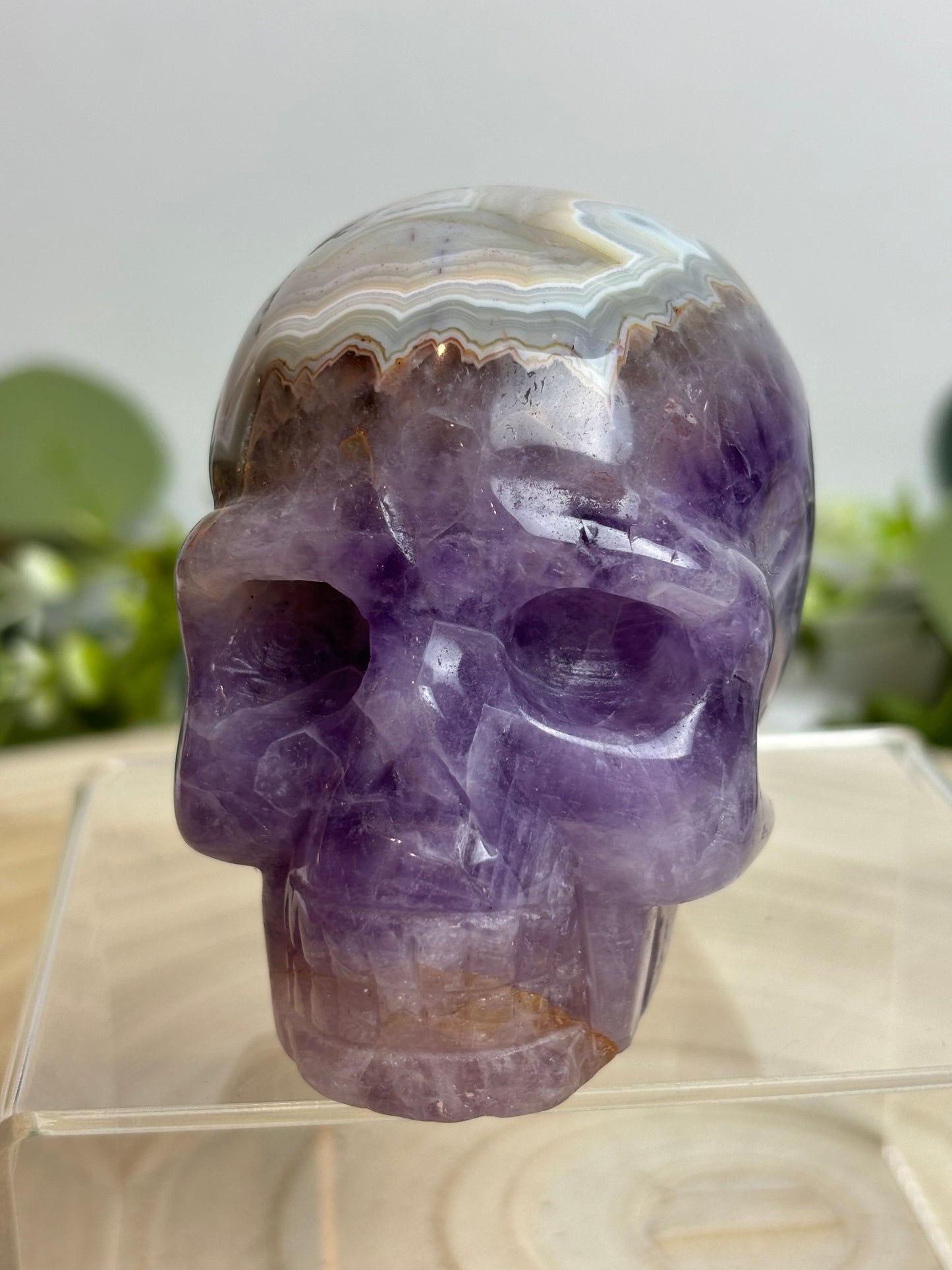 Crazy lace Amethyst skull
