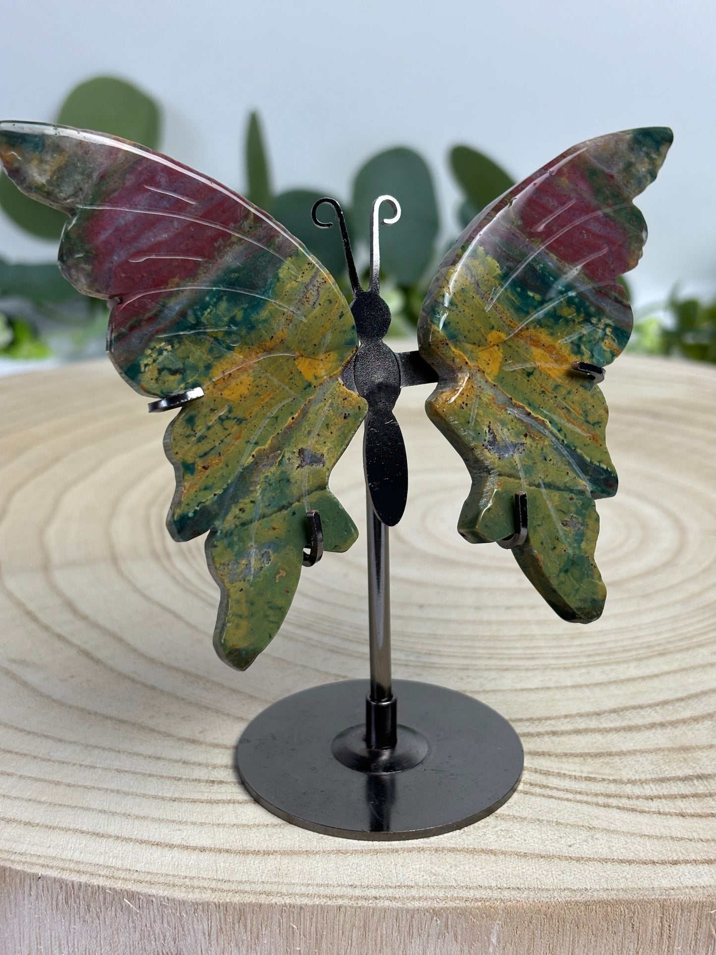 Ocean Jasper Butterfly