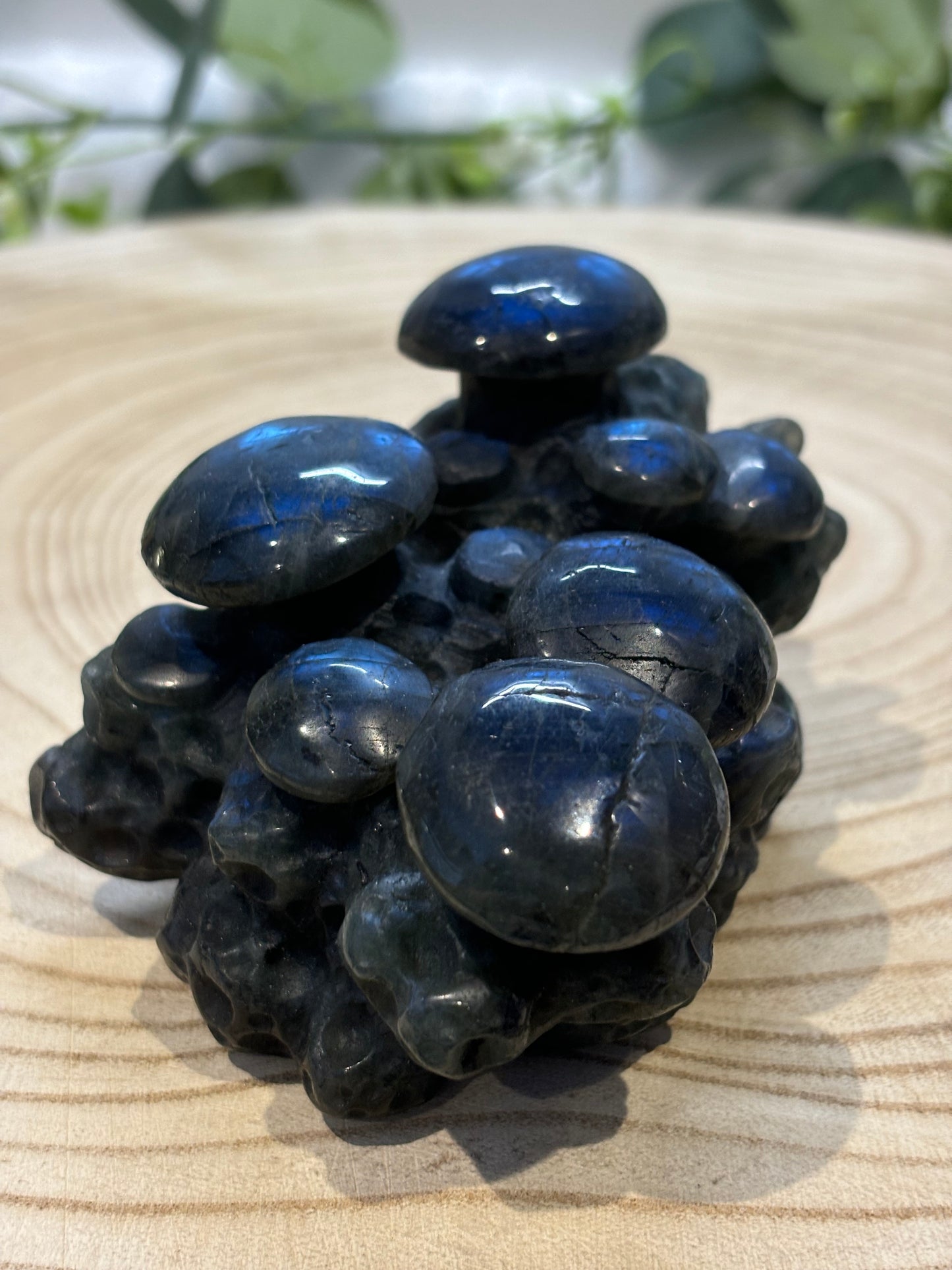 Labradorite Mushrooms