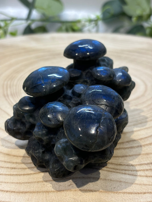 Labradorite Mushrooms