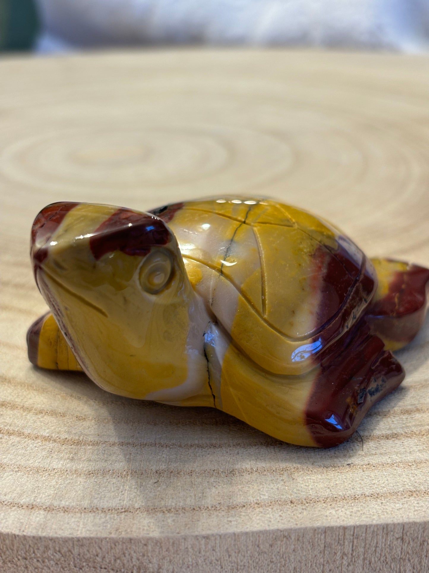 Mookaite Turtle