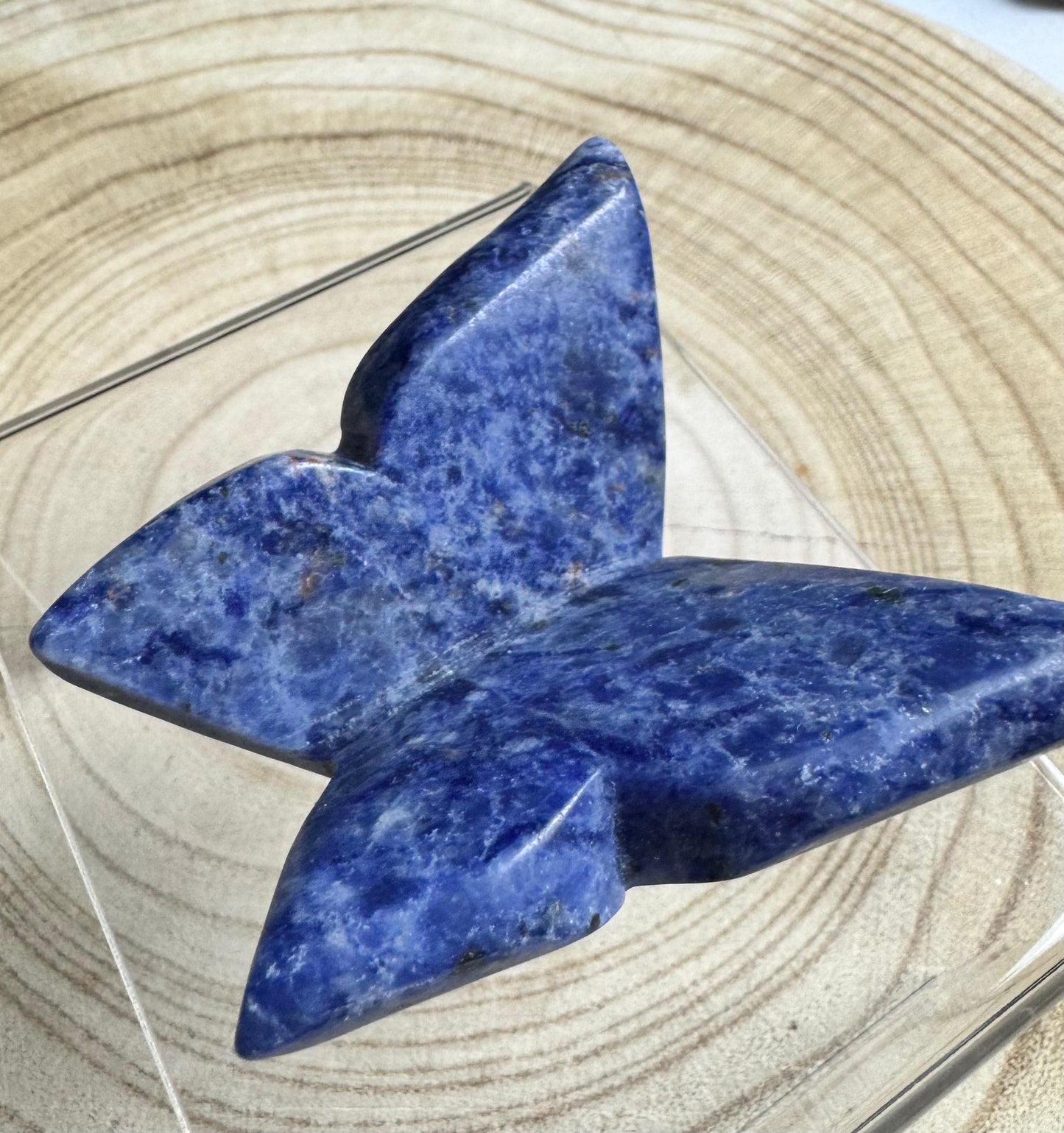 Sodalite 3D butterfly