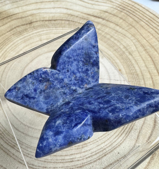 Sodalite 3D butterfly