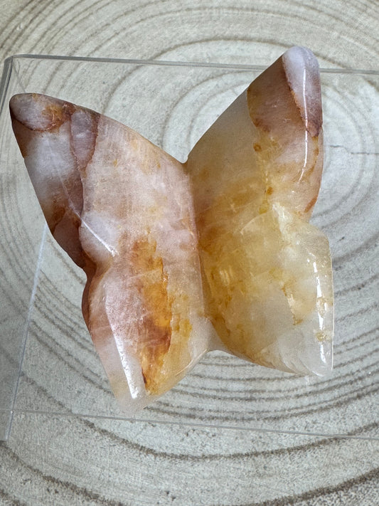 Golden healer 3D butterfly