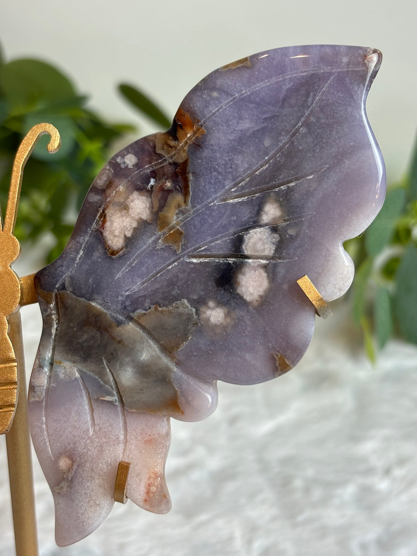 Blue Flower Agate Wings