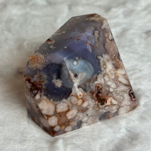 Blue Flower Agate Freeform