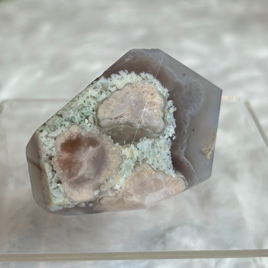 Blue Flower Agate Freeform