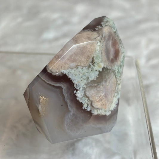 Blue Flower Agate Freeform