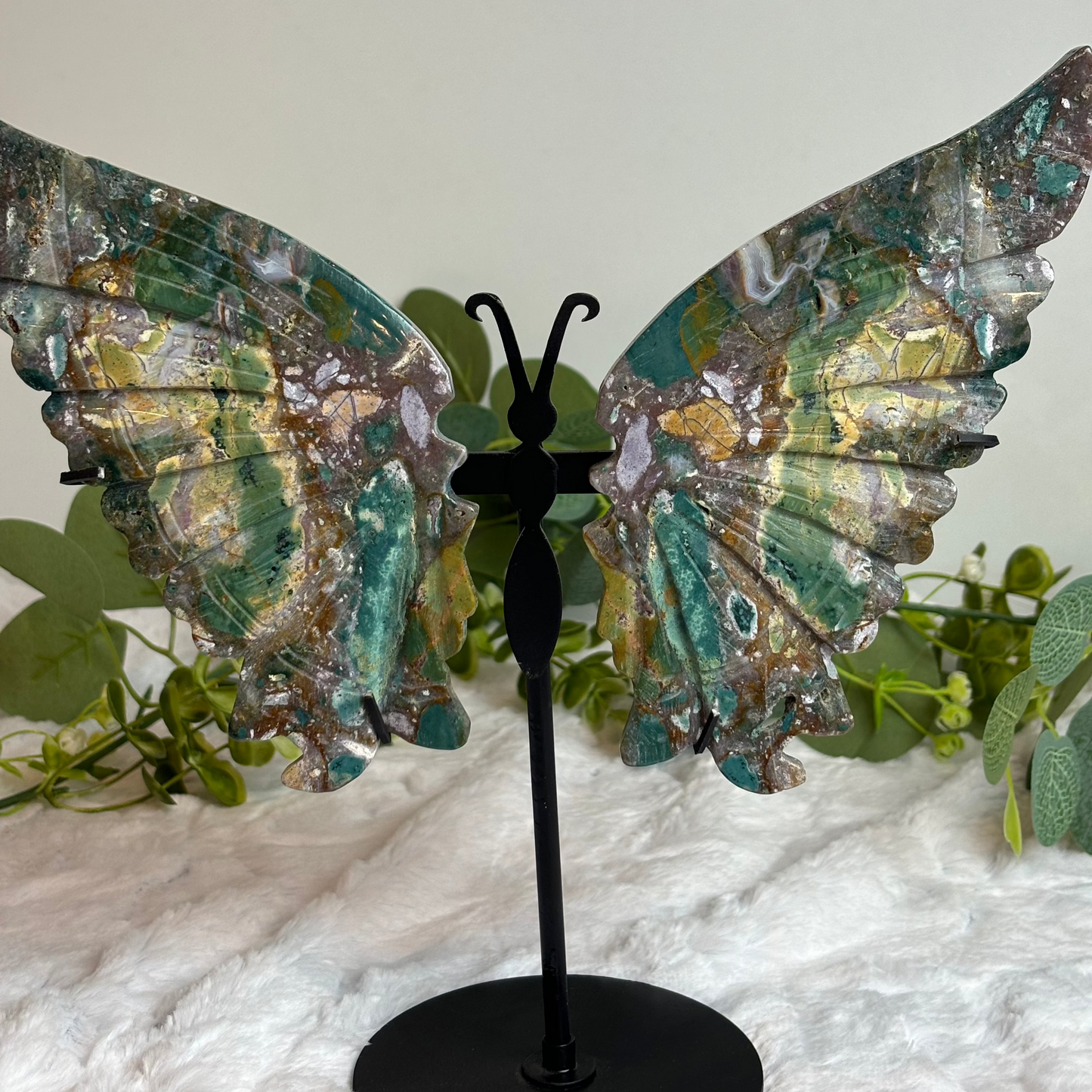 Ocean jasper Butterfly