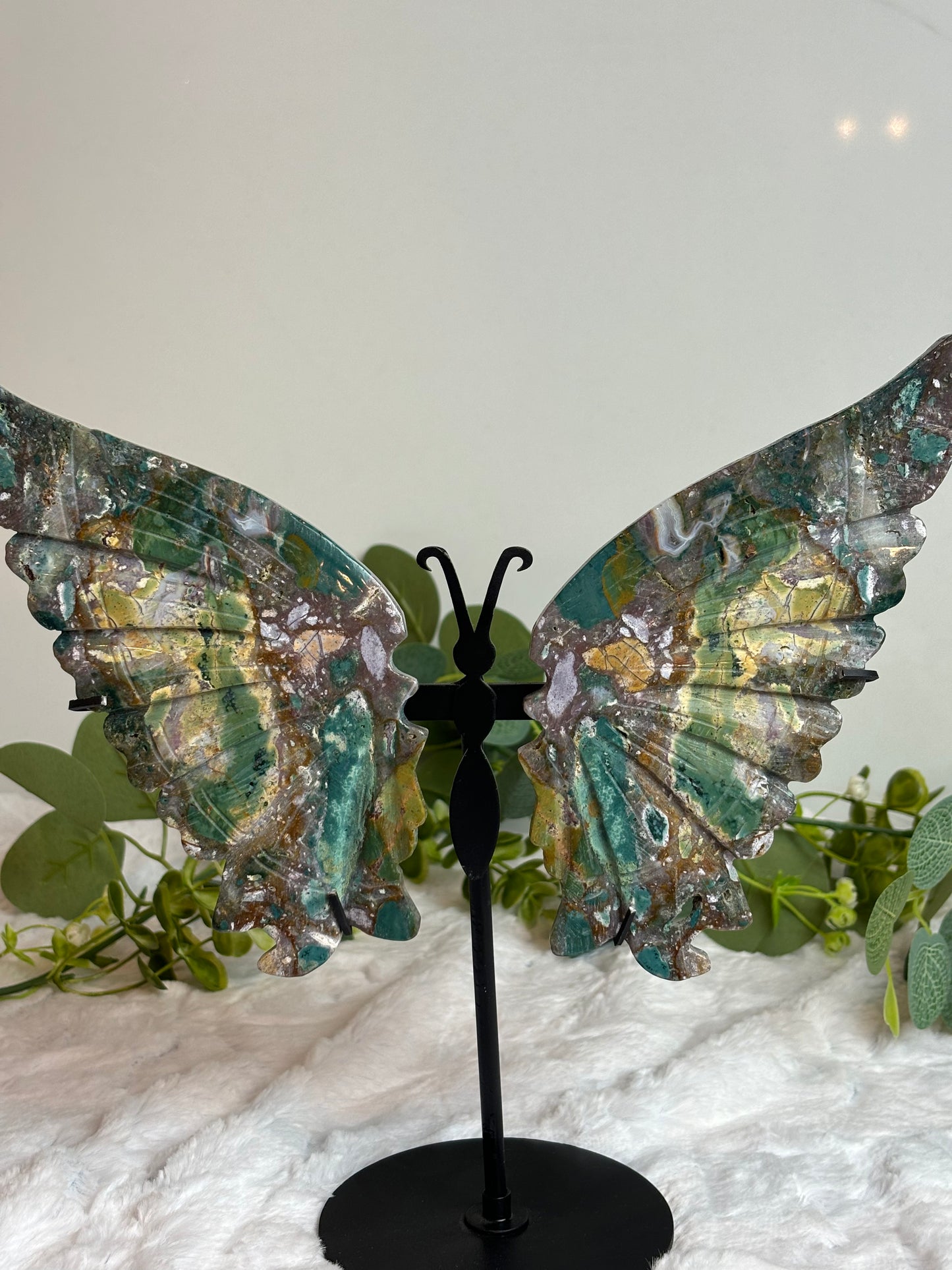 Ocean jasper Butterfly