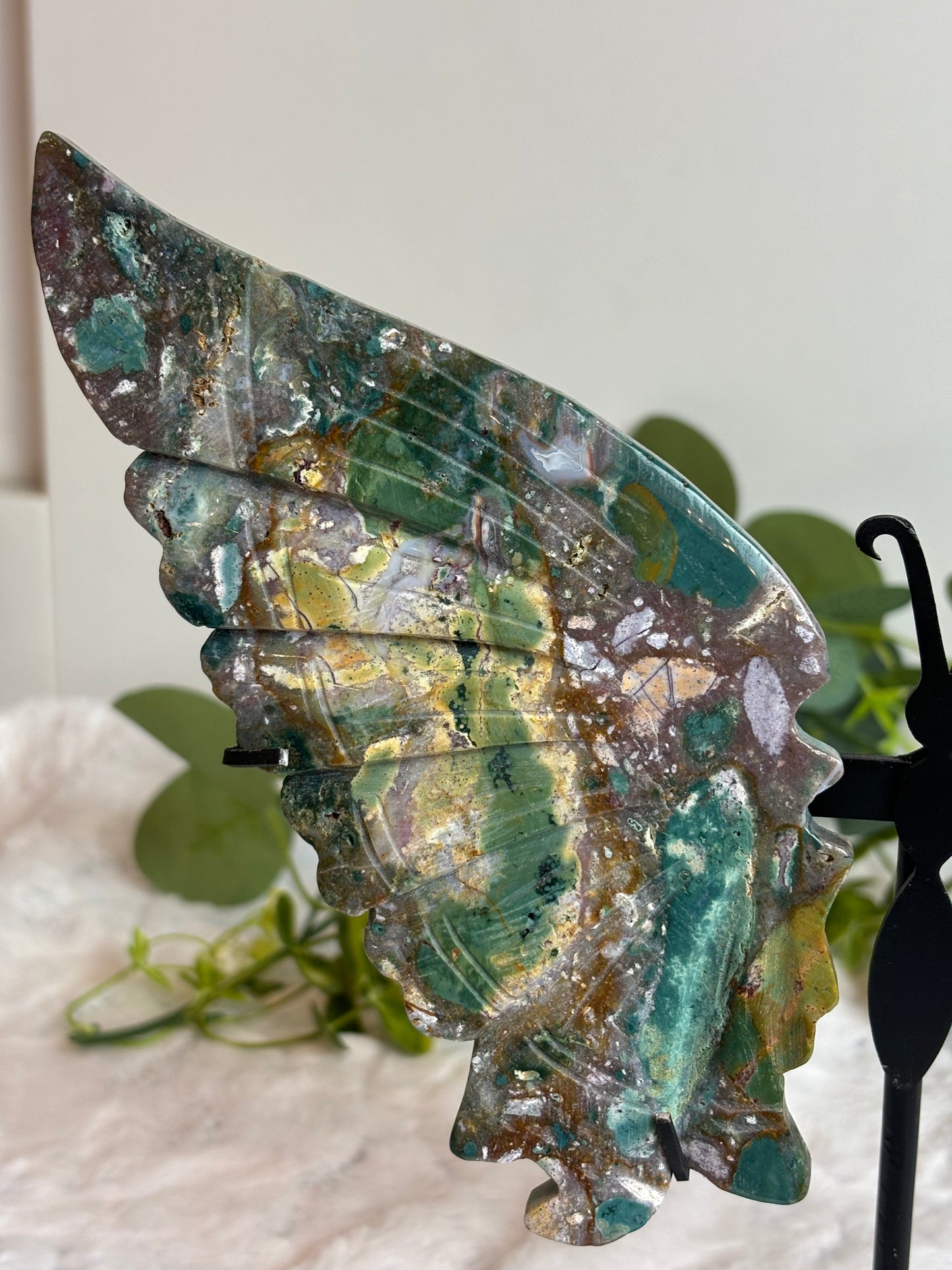 Ocean jasper Butterfly