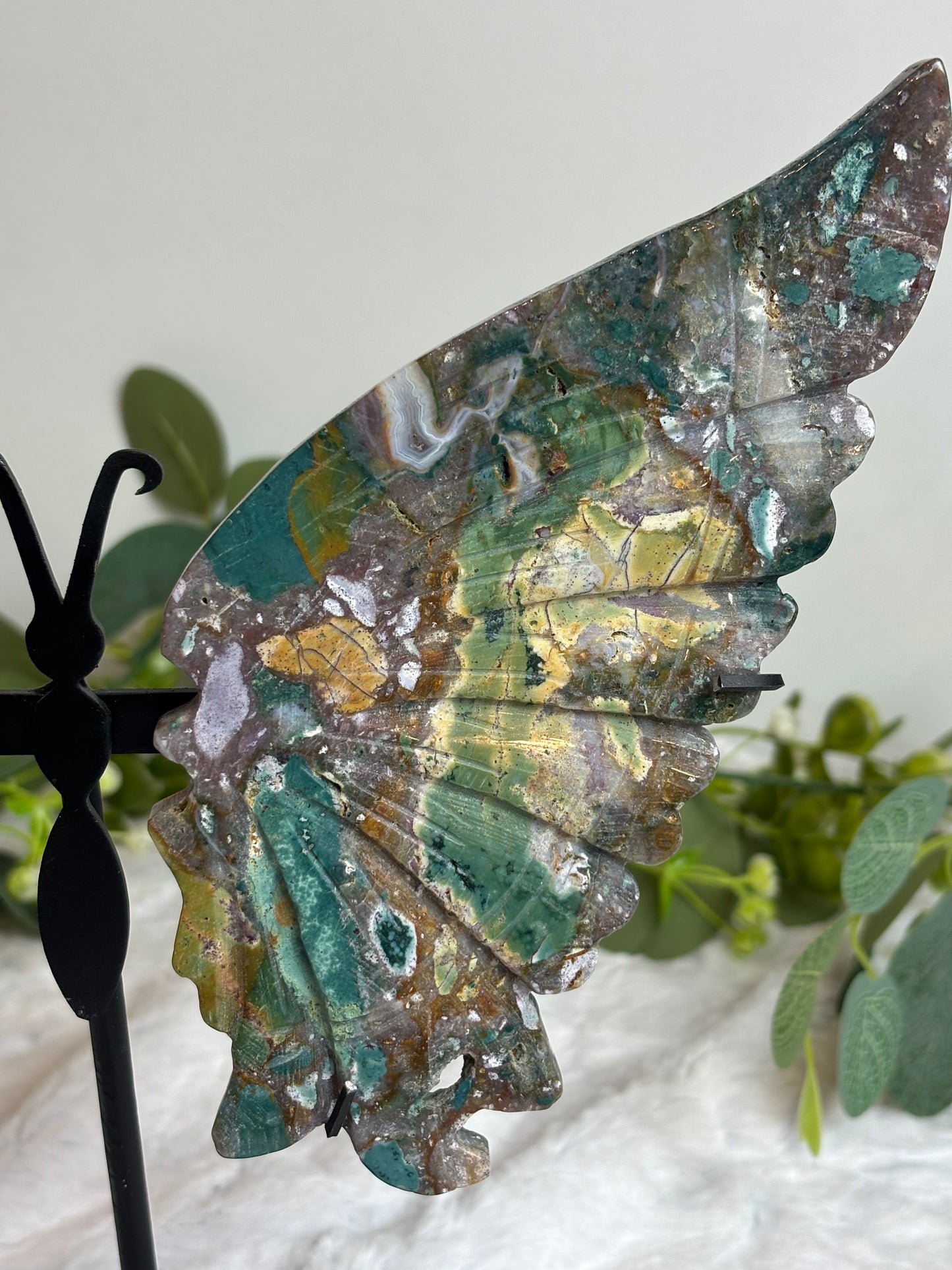 Ocean jasper Butterfly