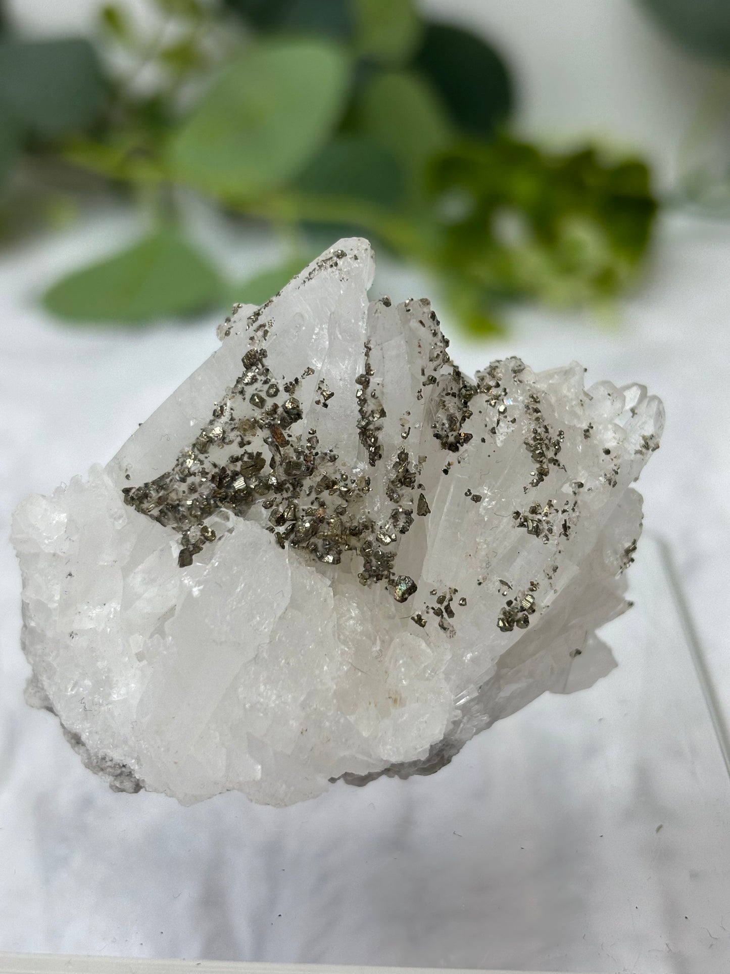 Quartz With Pyrite Raw
