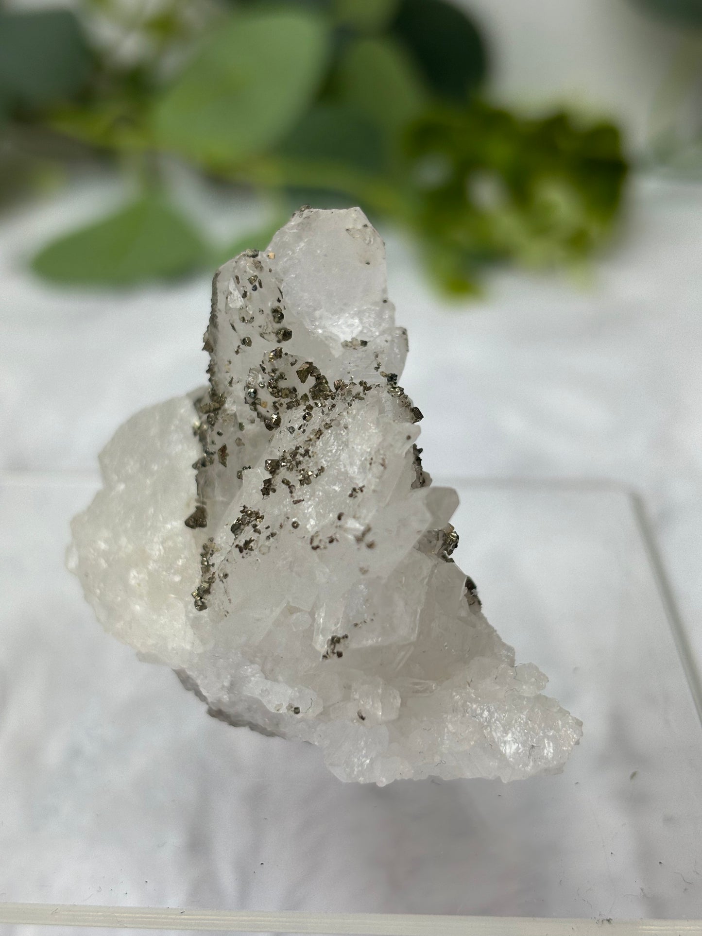 Quartz With Pyrite Raw