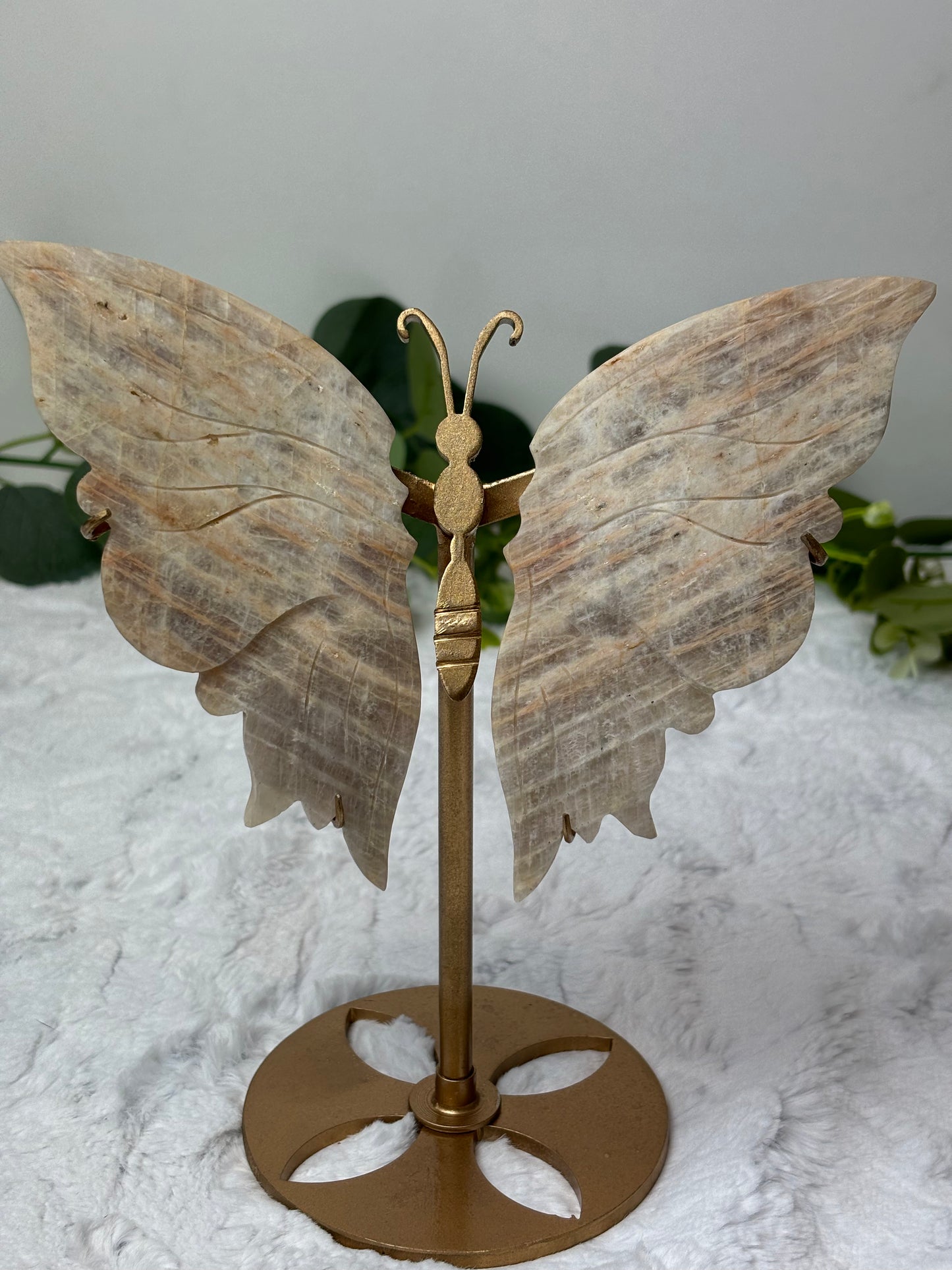 Moonstone Butterfly