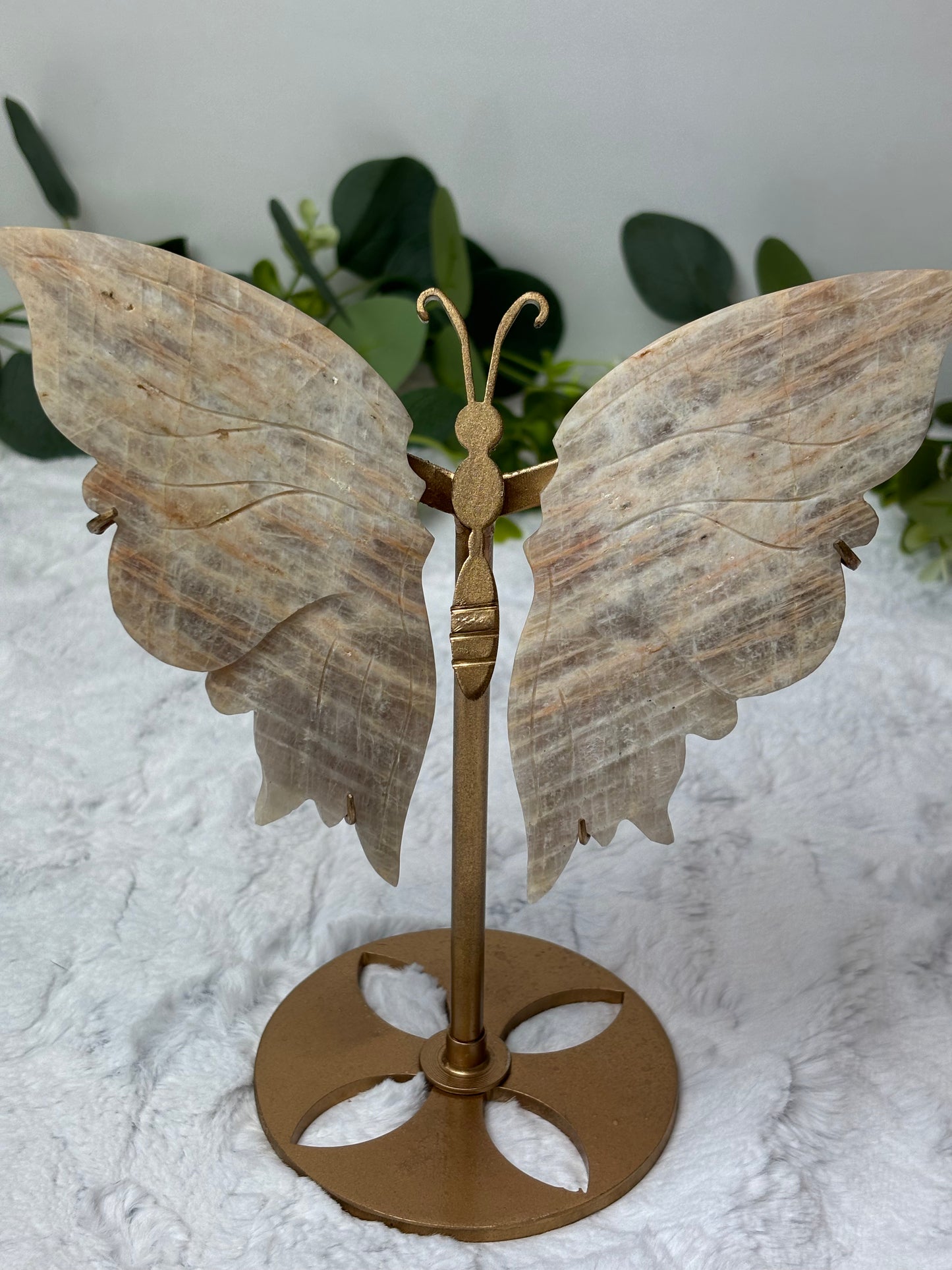 Moonstone Butterfly