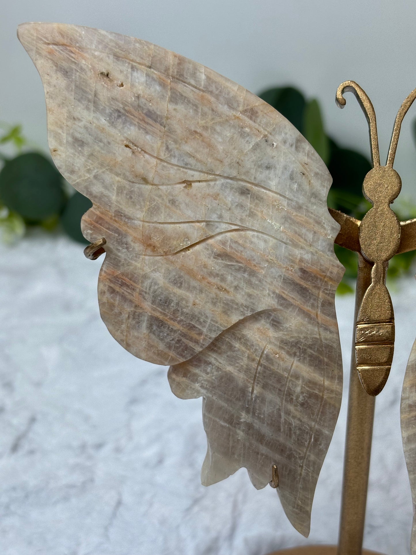 Moonstone Butterfly