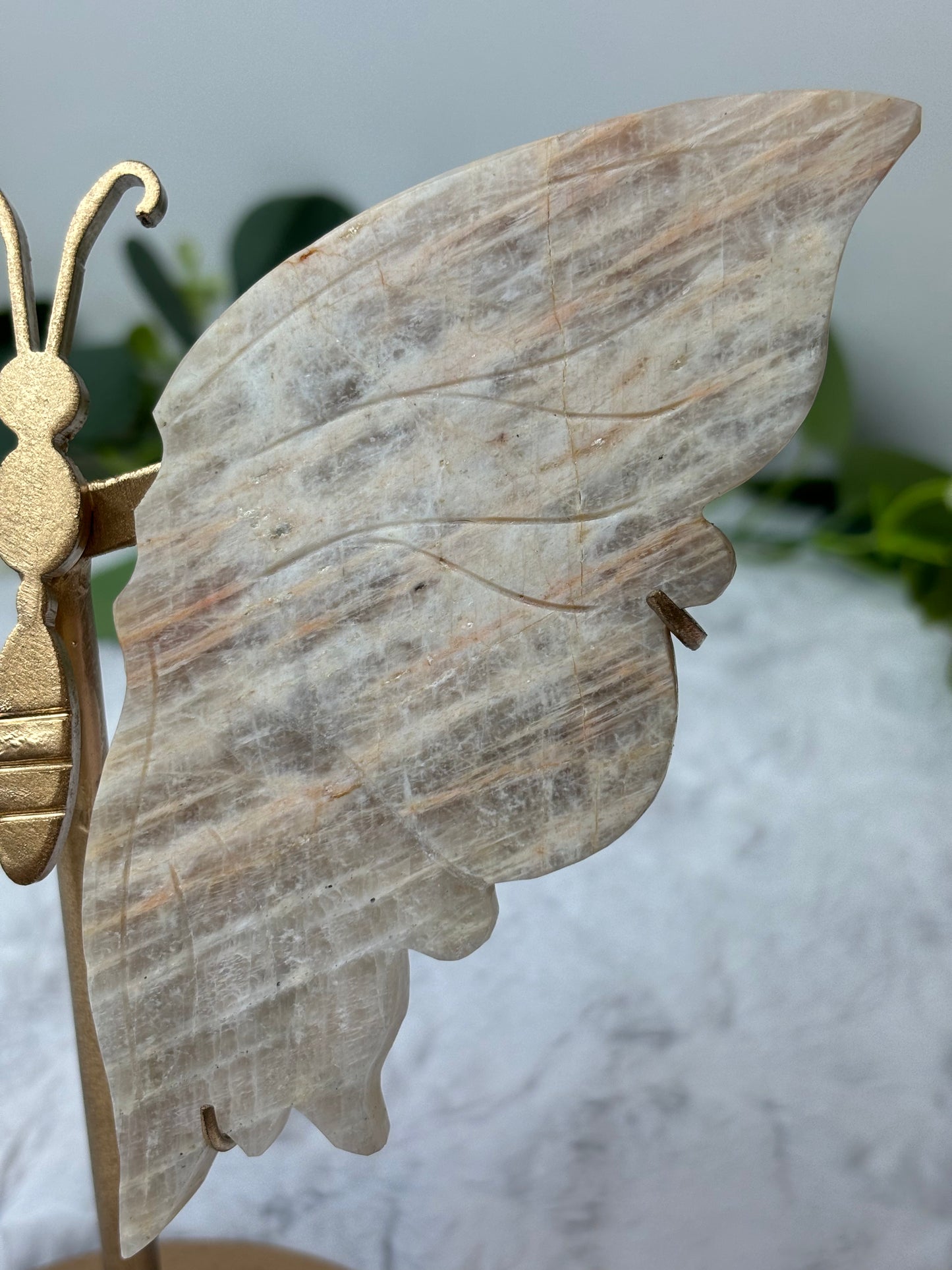 Moonstone Butterfly