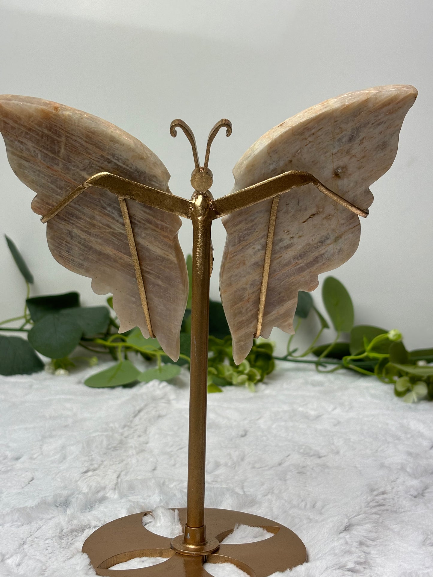 Moonstone Butterfly