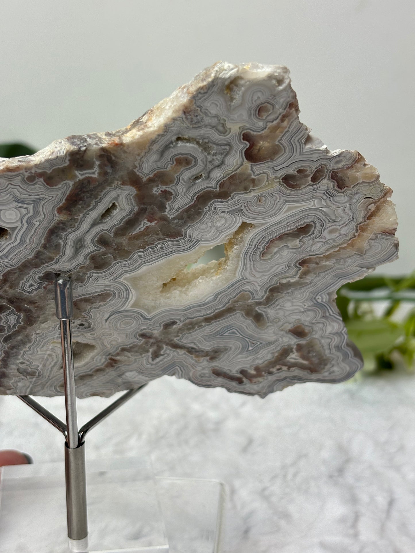Mexican Crazy Lace Agate Slab