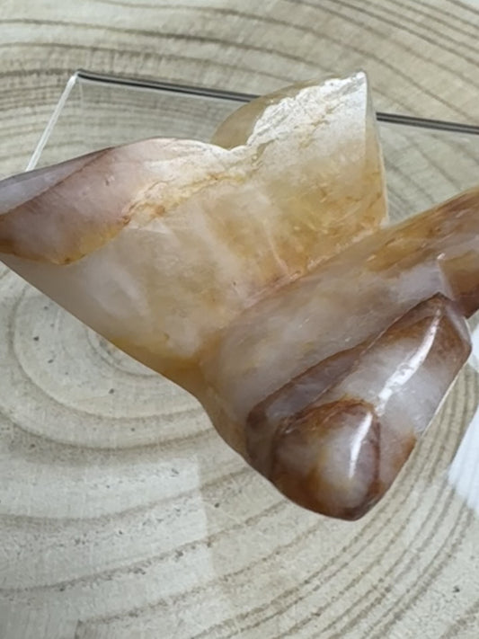 Golden healer 3D butterfly