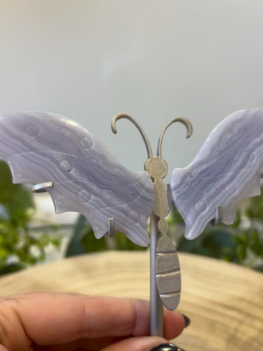 Blue Lace Agate Butterfly
