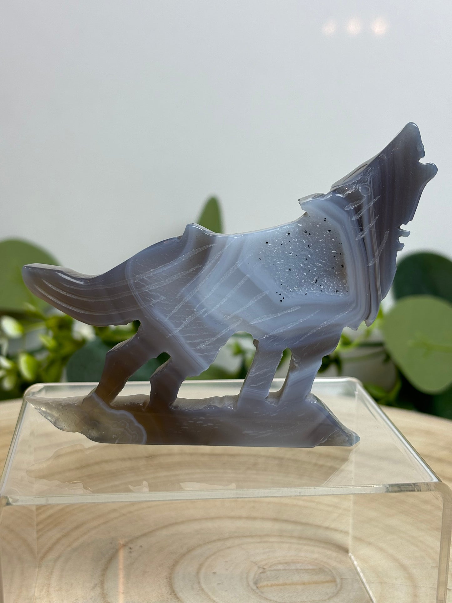 Druzy agate wolf