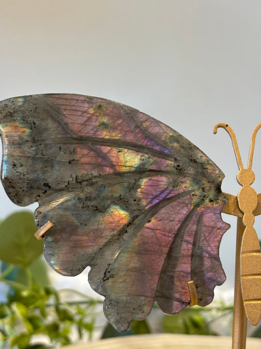 Labradorite Butterfly