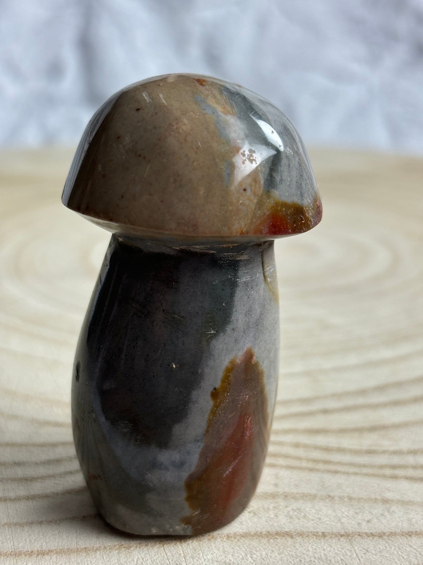 Polychrome Jasper Mushroom