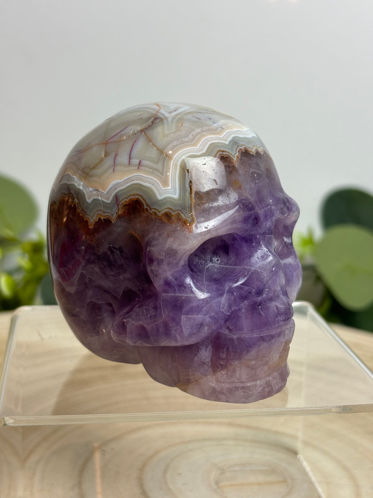 Crazy lace Amethyst skull